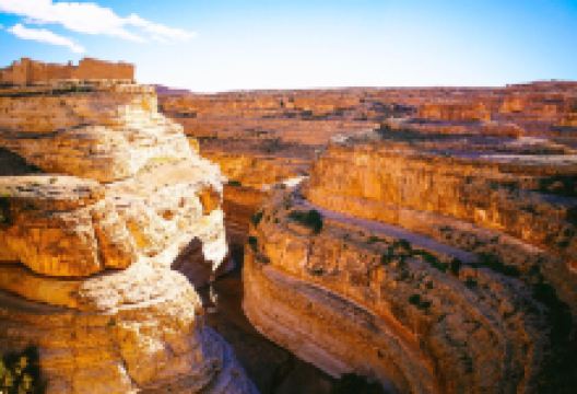 Tamerza Canyon景点图片