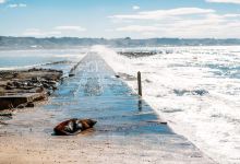 达尼丁旅游图片-新西兰自然风光探索10日游