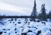 黑龙江伊春红星火山地质公园景点图片