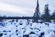 黑龙江伊春红星火山地质公园景点图片