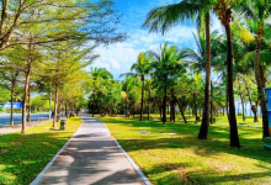 椰梦长廊景点图片