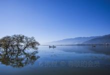 南涧旅游图片-大理赏花好去处3日游