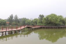东昌湖湿地岛休闲渔业公园-聊城-AIian