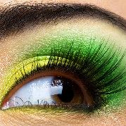 晓晓萤火虫的晓萤