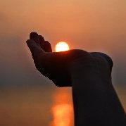 橙子和栗子是朋友