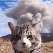 宇宙无敌超级大天才