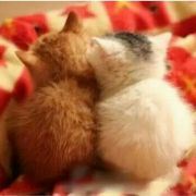 小仙女小可爱小宝贝儿