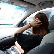 和蒲公英一起旅行