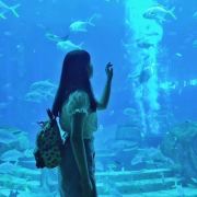 凌乱的思绪世界