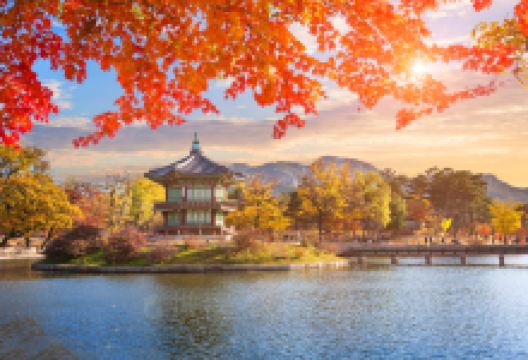 忠州旅游图片-首尔景福宫+明洞3日游