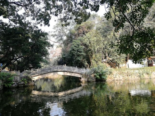 东莞人民公园旅行图片 9