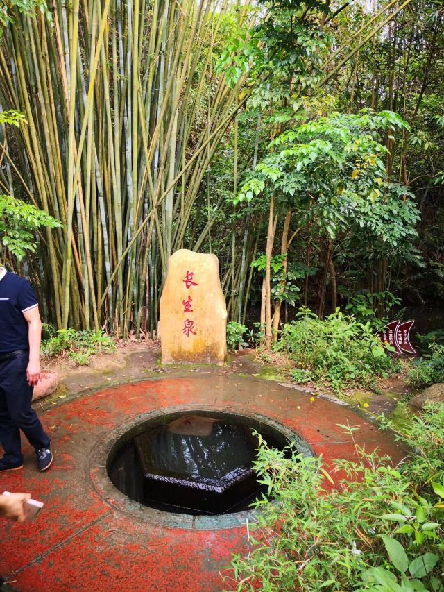 大屏嶂森林公园旅行图片 3