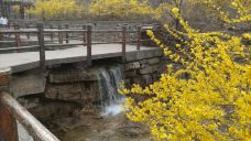 黄花溪-青州-221769034