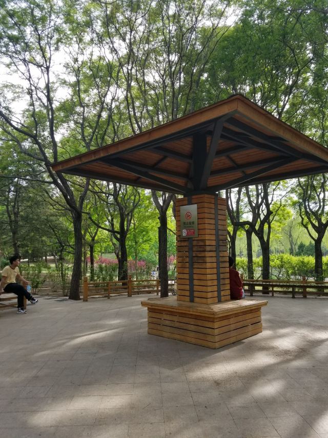 四得公园旅行图片 7