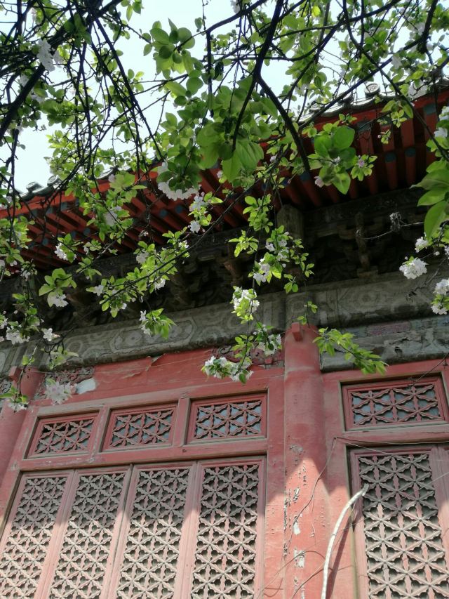 孚王府(不对外开放)旅行图片 7