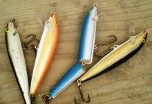 Red Dog Bait & Tackle购物图片