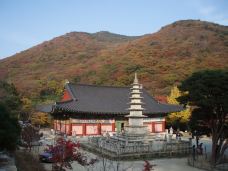 梵鱼寺-釜山