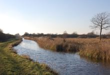 National Trust - Wicken Fen Nature Reserve景点图片