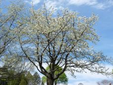 Shelburne Farms-谢尔本