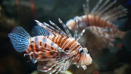 Biomes Marine Biology Center