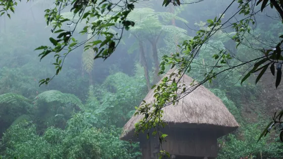 部落博物館