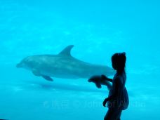 Texas State Aquarium-科珀斯克里斯蒂