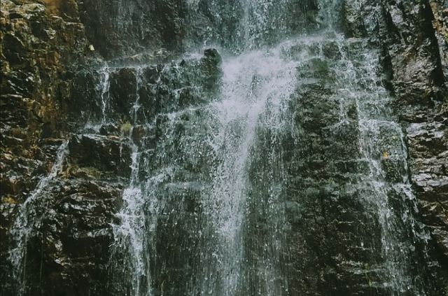 核伙沟森林公园旅行图片 1