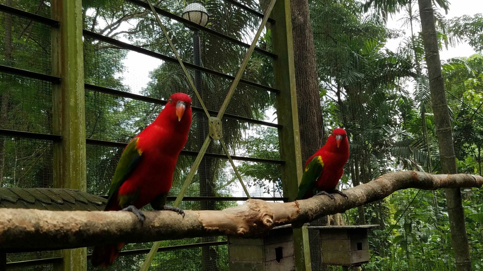 Puputan Square Travel Guidebook Must Visit Attractions In Bali