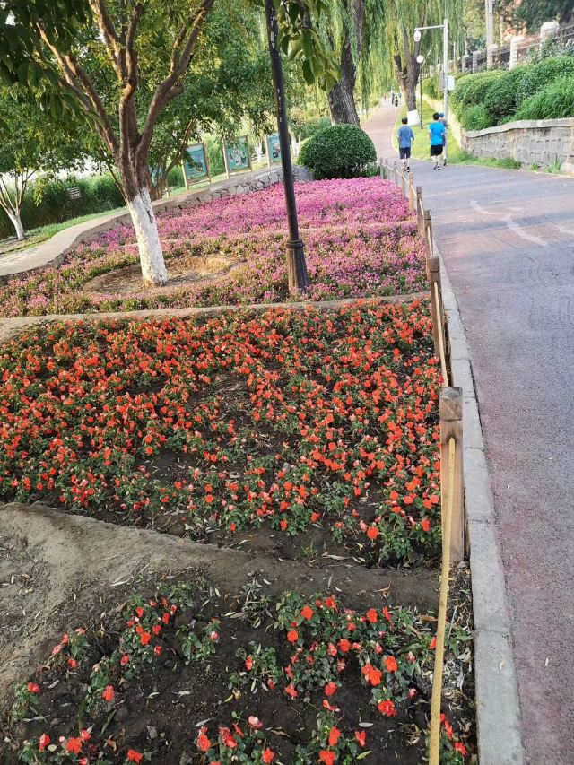 龙潭西湖公园旅行图片 2