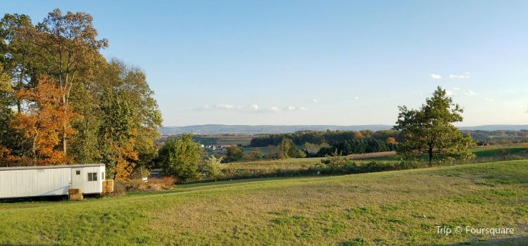 Folino Estate Vineyard Winery Travel Guidebook Must Visit