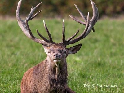 Top 5667 Attractions Recommended In Lippstadt Recommended Travel