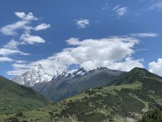 猫鼻梁-小金-山东绿水青山