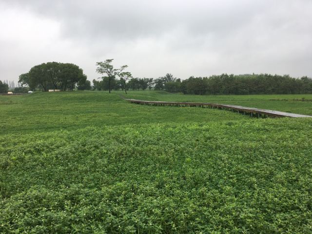 良渚文化村