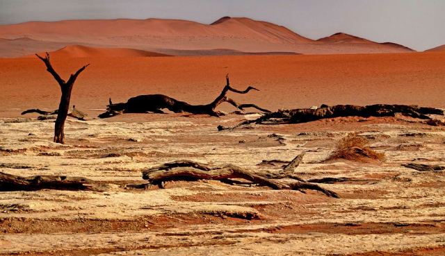 Namib-Naukluft National Park