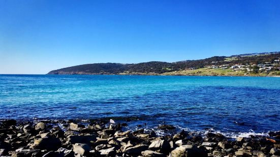 Dudley Cellar Door Travel Guidebook Must Visit Attractions In