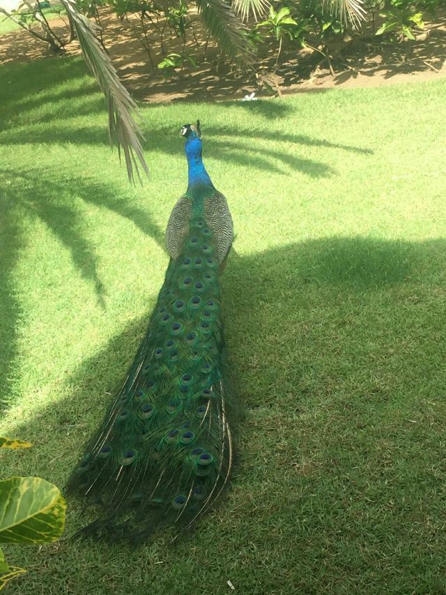 土著眼生態公園