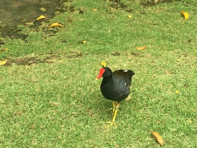 土著眼生態公園