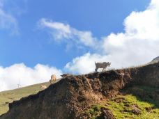 大海草山-会泽-YoYo_5Z8O1O9E