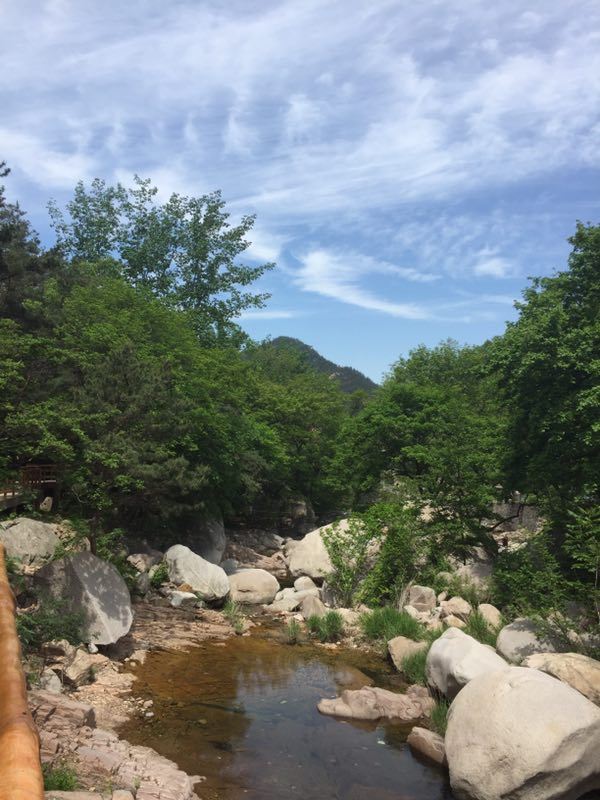 牛毛山公园旅行图片 3