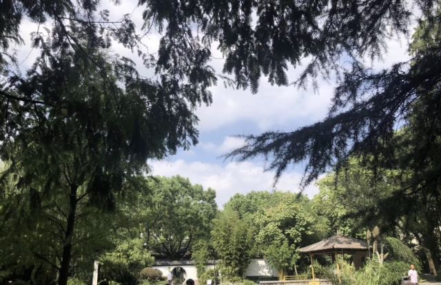 东安公园旅行图片 3