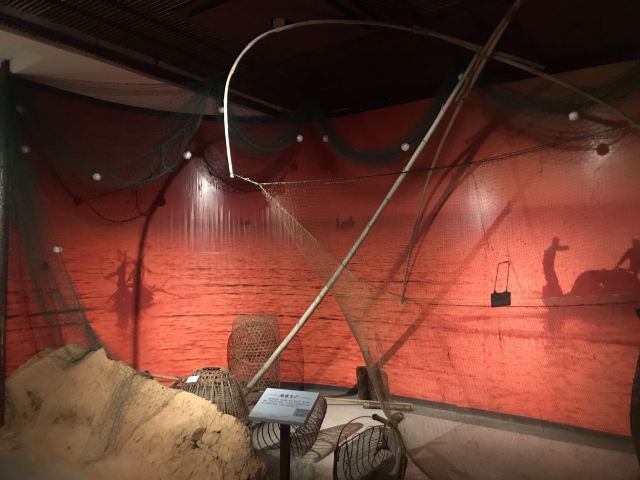 中共岳阳南湖风景区工作委员会旅行图片 15