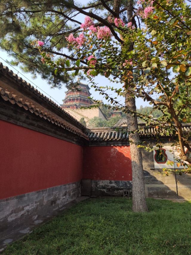 Summer Palace