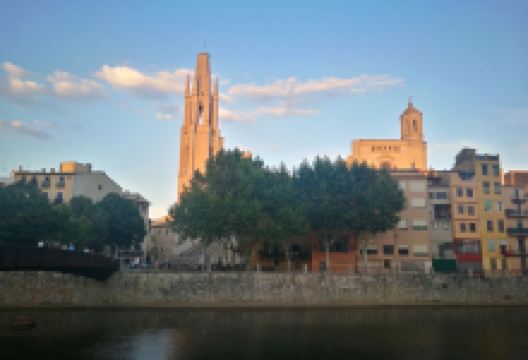 Mercat del Lleo购物图片