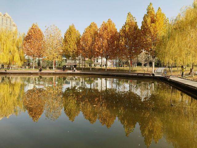 雁滩公园旅行图片 4
