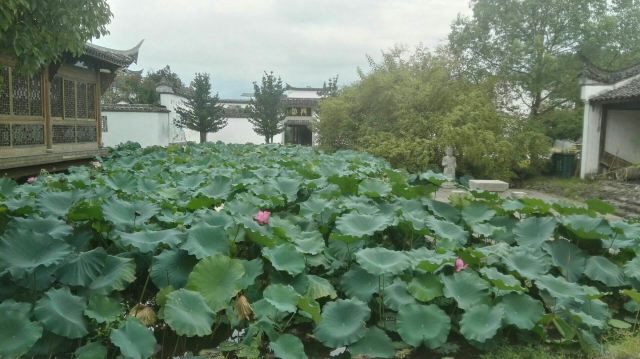 龙泉市宝剑厂有限公司(林岭线)旅行图片 4