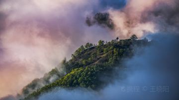 _DSC2213_1