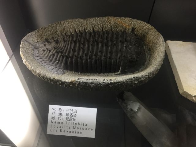 牛毛岭景区国家地质公园旅行图片 2