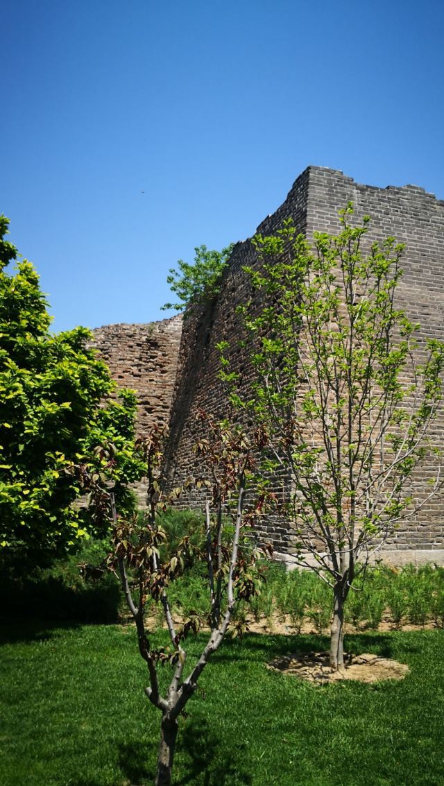 金中都城墙遗址公园旅行图片 2