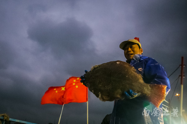 中国最大的舟山渔场，渔归场面火爆，码头像打扫战场