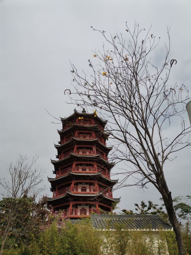 华阳湖国家湿地公园旅行图片 10